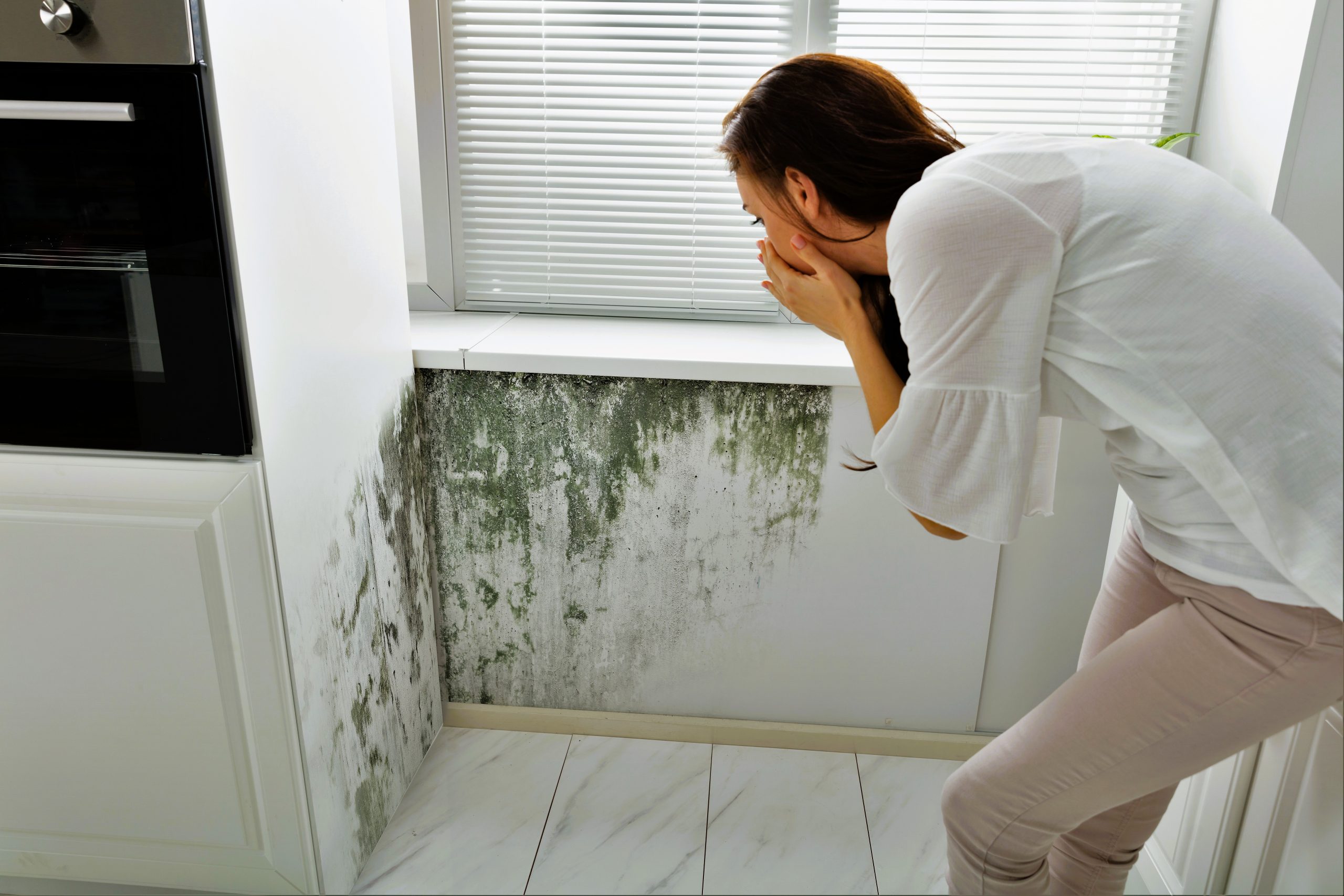 Side View Of A Young Woman Looking At Mold On Wall
