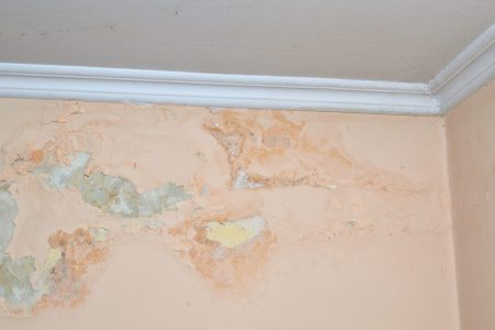 Wall damaged by moisture